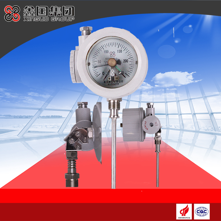 隔爆雙金屬溫度計(jì)