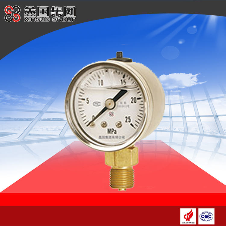 XG-YN系列、XG-YN-B系列耐震壓力表