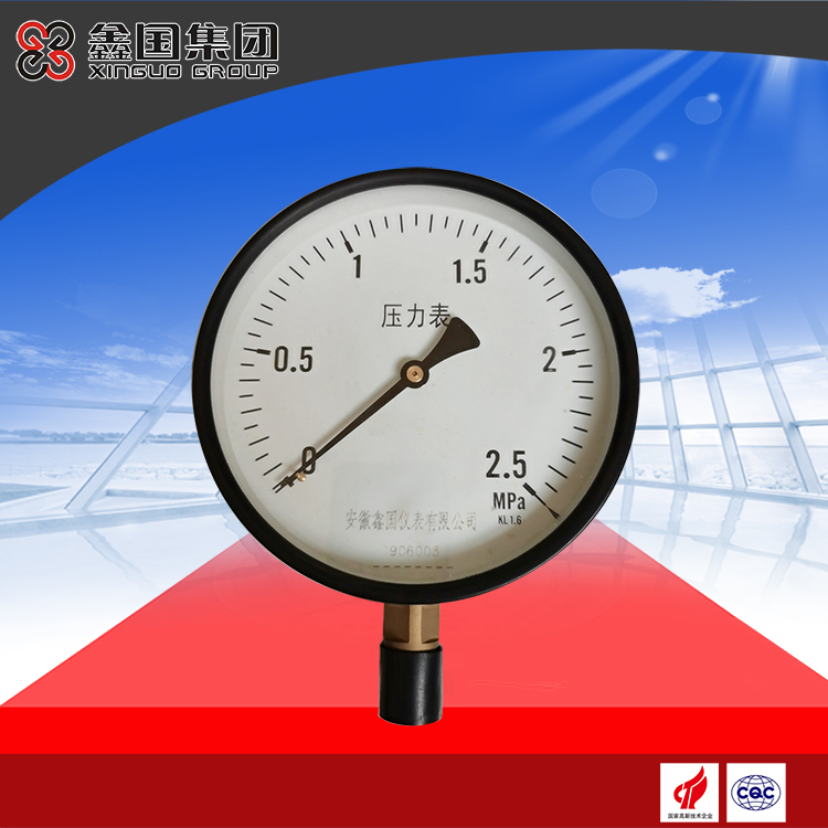 XG-YA-100、150系列氨壓力表